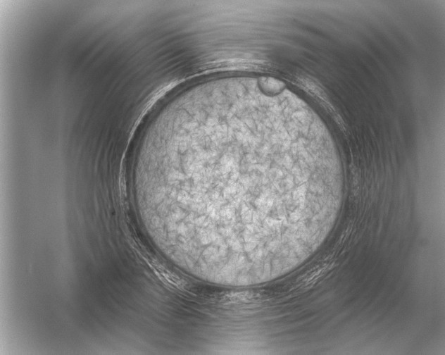 X0000055990883200509162249