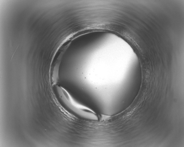 X0000055990884200509162249