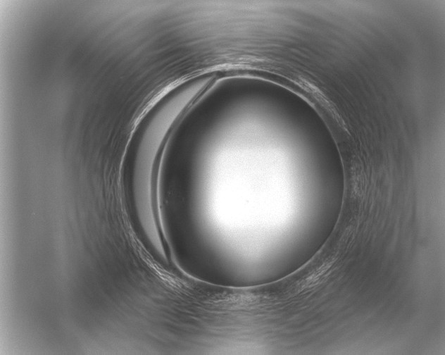 X0000055990885200509162249