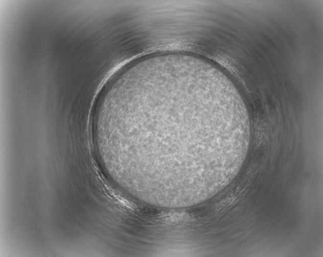 X0000055990886200509162249