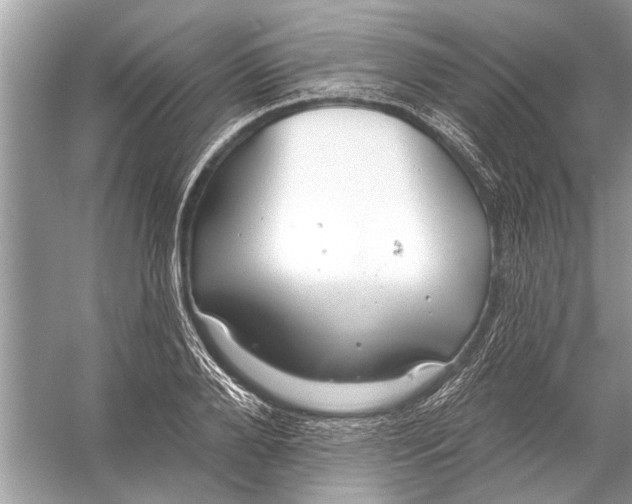 X0000055990888200509162248