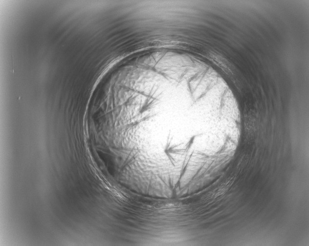 X0000055990891200509162248