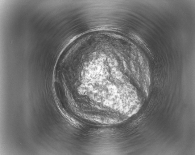 X0000055990892200509162248