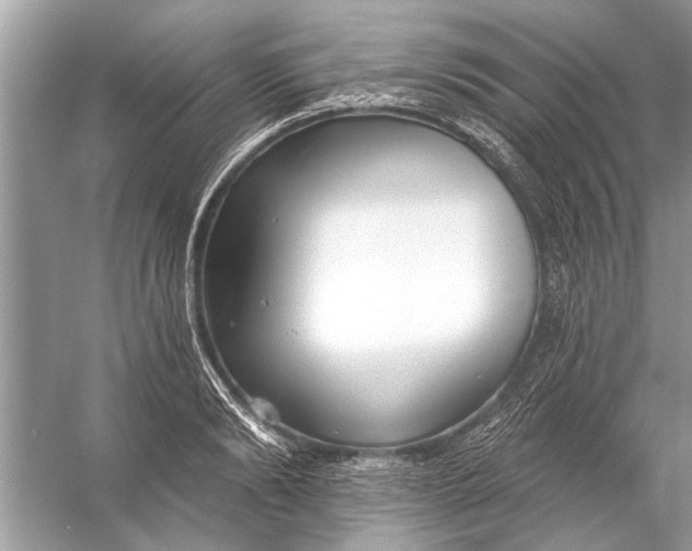 X0000055990894200509162248