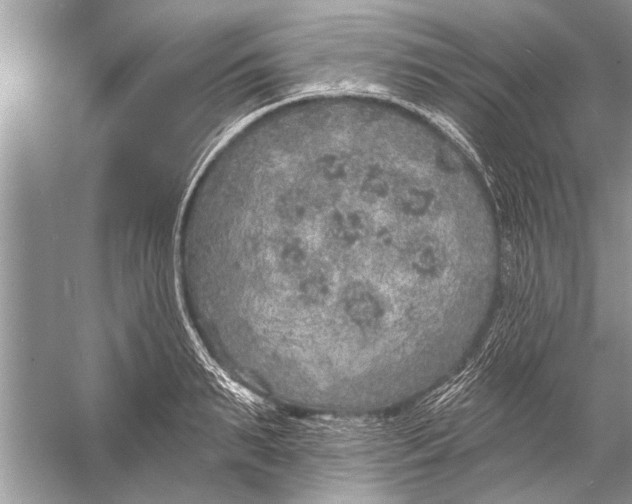 X0000055990895200509162248