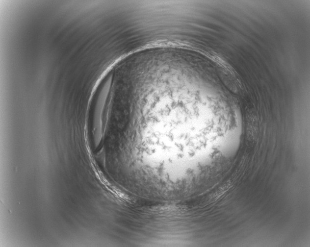 X0000055990896200509162248