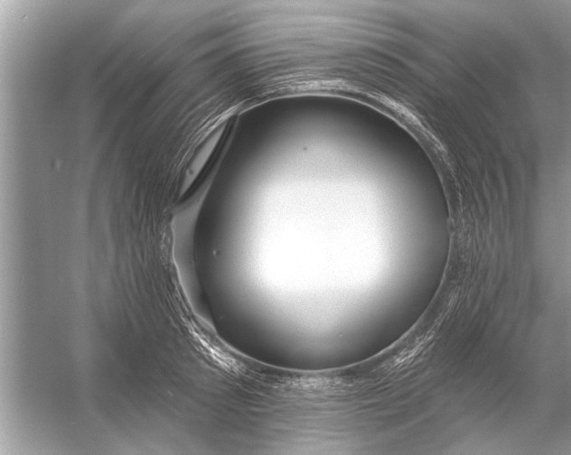 X0000055990897200509162248