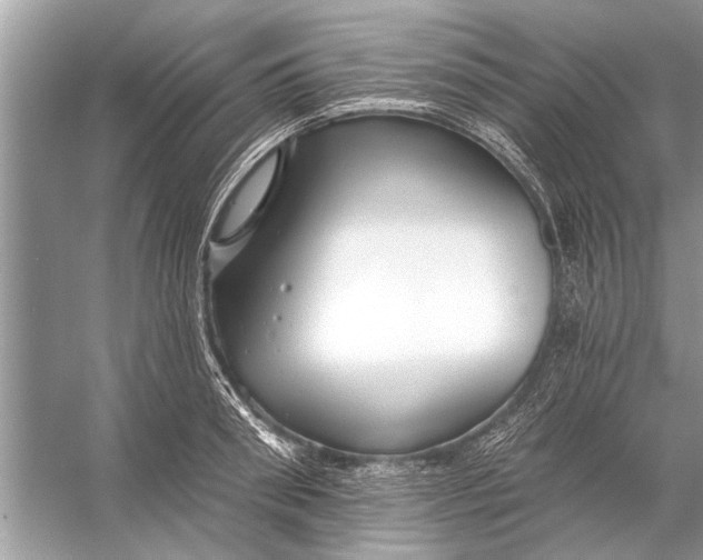 X0000055990898200509162248