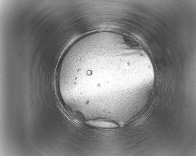 X0000055990899200509162248