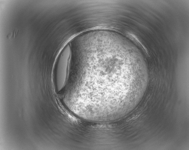 X0000055990900200509162248