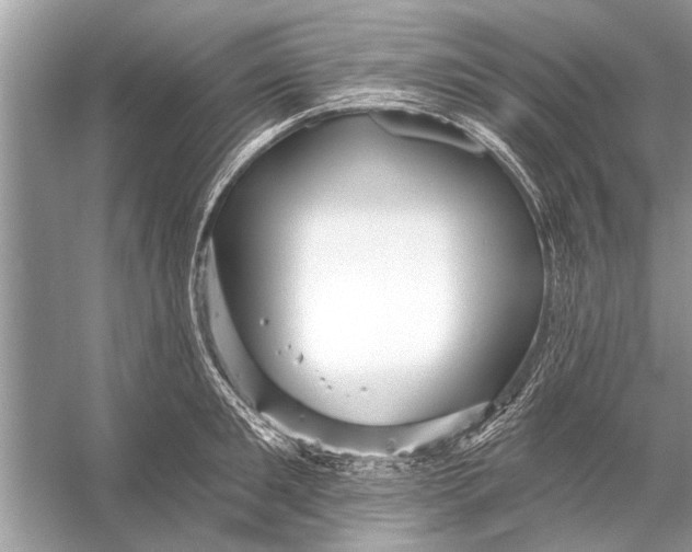 X0000055990901200509162248