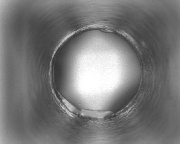 X0000055990902200509162248