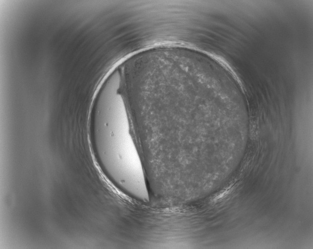 X0000055990903200509162248