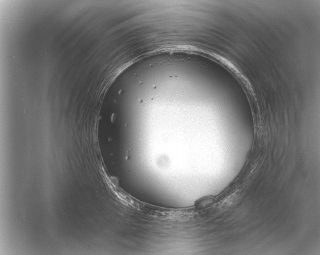 X0000055990905200509162248