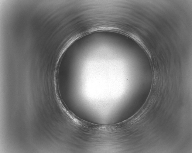 X0000055990906200509162248