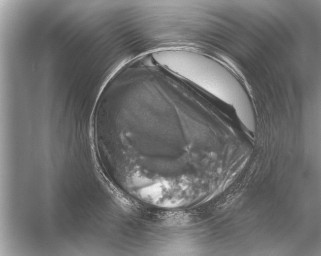 X0000055990907200509162248