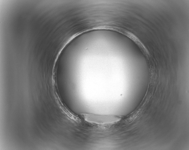 X0000055990908200509162248