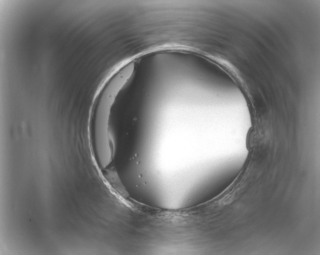 X0000055990910200509162248