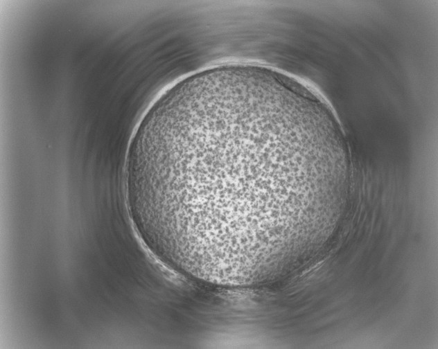 X0000055990911200509162248