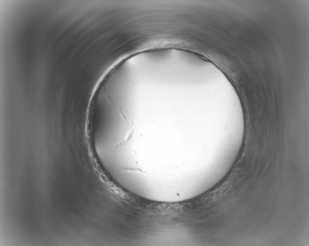 X0000055990912200509162248