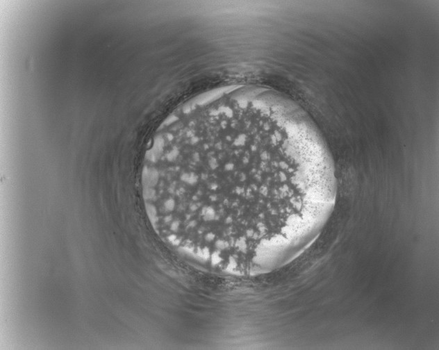 X0000055990913200509162247