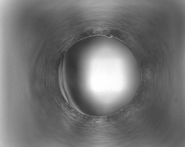 X0000055990914200509162247