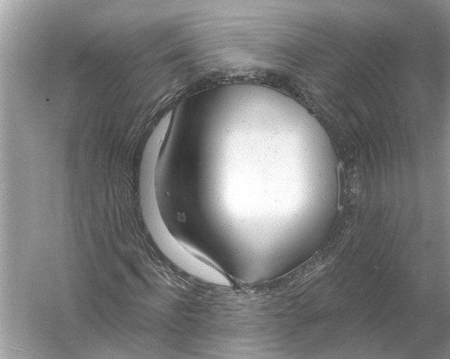 X0000055990916200509162247