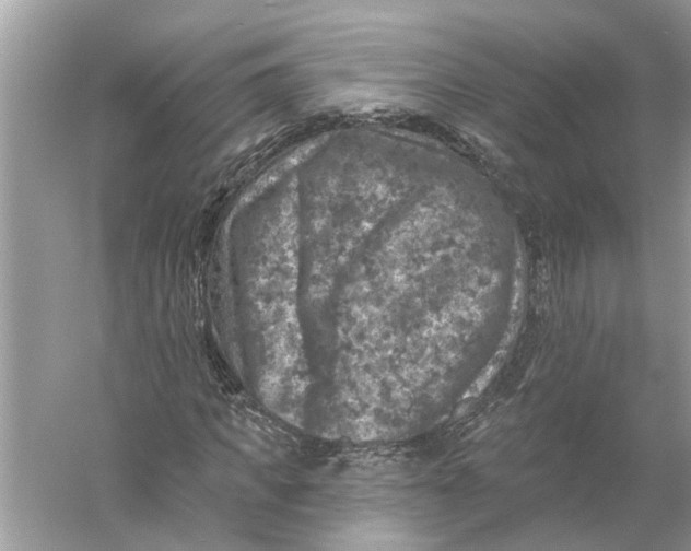 X0000055990917200509162247