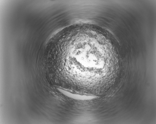 X0000055990919200509162247