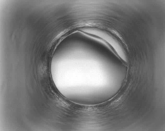 X0000055990922200509162247