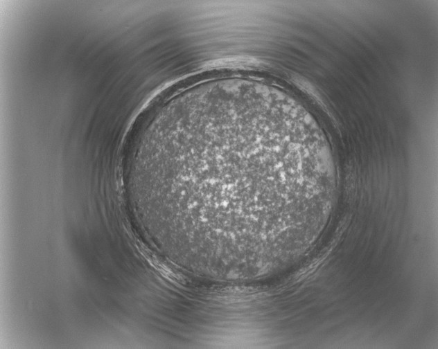 X0000055990923200509162247