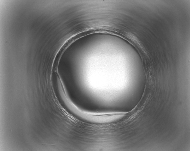 X0000055990924200509162247