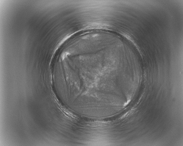 X0000055990925200509162247