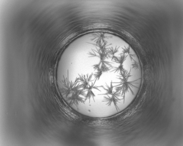 X0000055990929200509162248