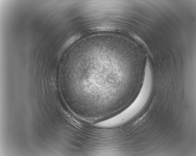 X0000055990930200509162248