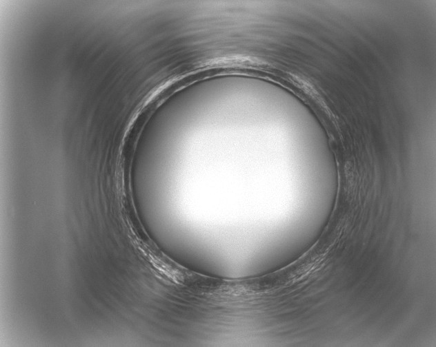 X0000055990931200509162248