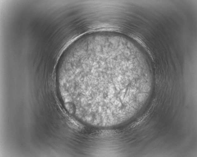 X0000055990933200509162248