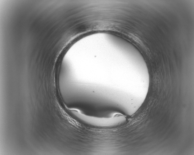 X0000055990934200509162248