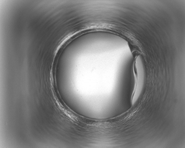 X0000055990936200509162248