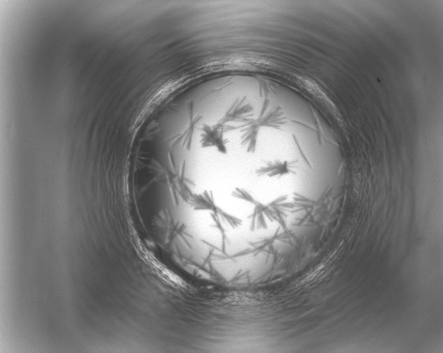 X0000055990938200509162248