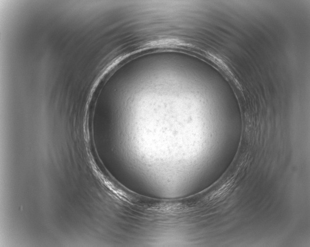 X0000055990939200509162248