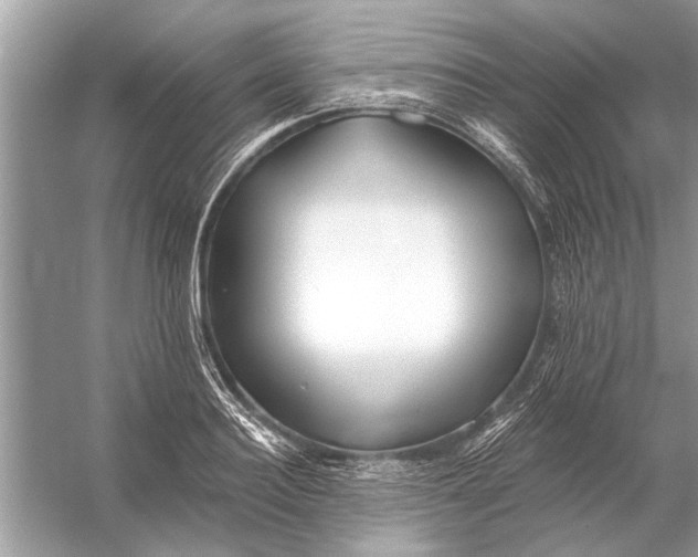 X0000055990940200509162248