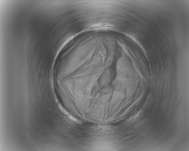 X0000055990941200509162248