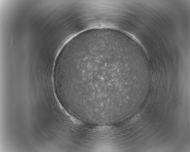 X0000055990943200509162248