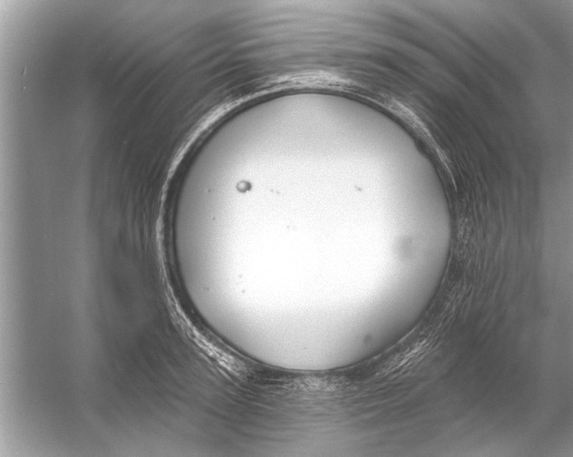 X0000055990947200509162248