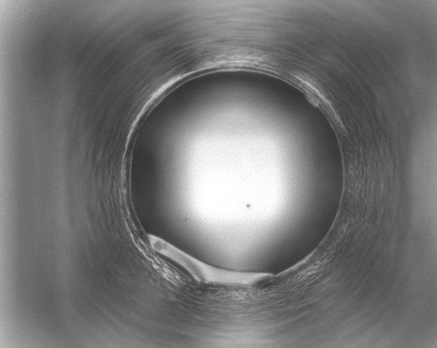 X0000055990948200509162248