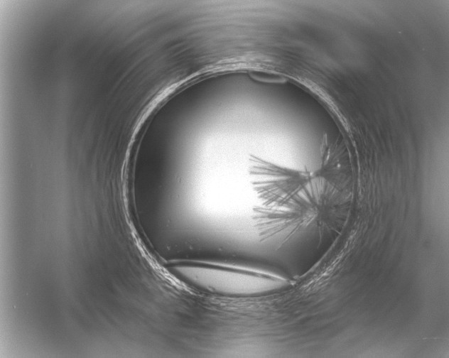 X0000055990949200509162248