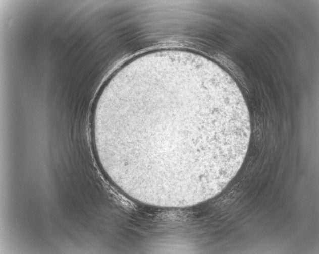 X0000055990950200509162248