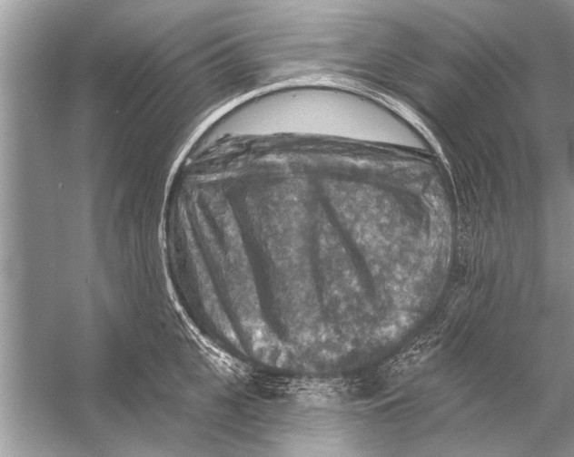 X0000055990951200509162248