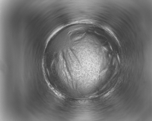 X0000055990952200509162248